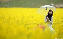 把腿张开JI巴CAO死你H